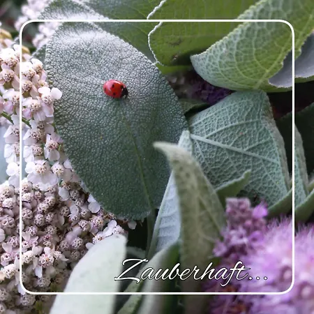 Апартаменты Gluecklich Sein... Элльмау